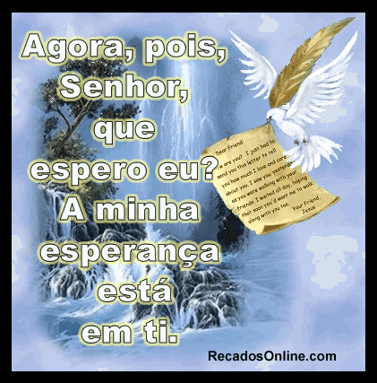 Frases_019.gif