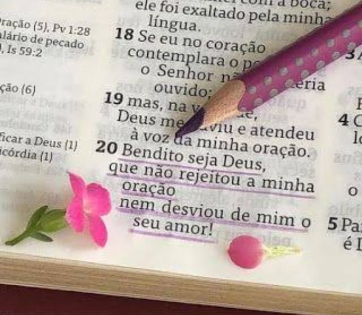 Gifs_de_Paz_0015.jpg