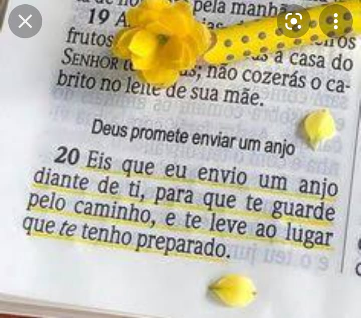 Gifs_de_Paz_0017.jpg