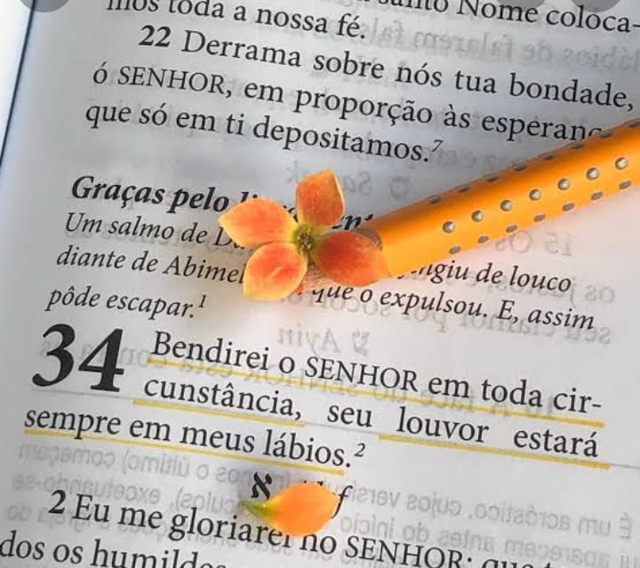 Gifs_de_Paz_0019.jpg