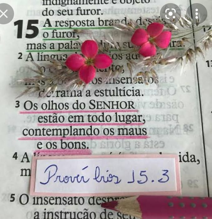Gifs_de_Paz_0020.jpg