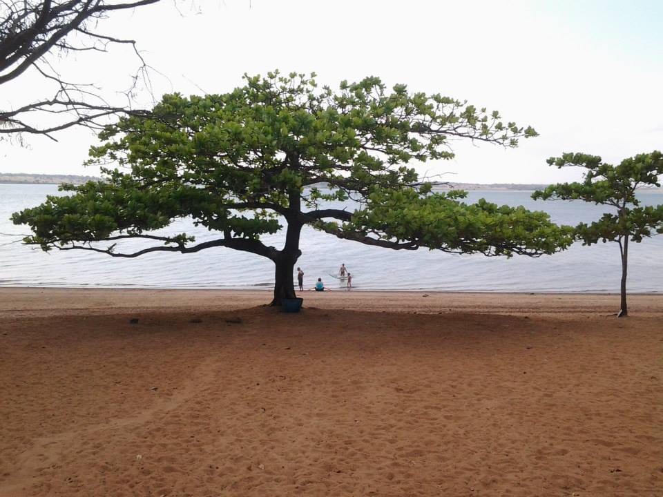 Savelly_Imagem_003.gif