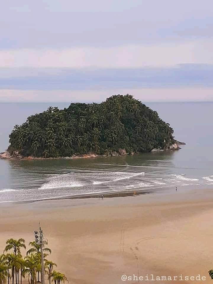 Savelly_Imagem_018.gif
