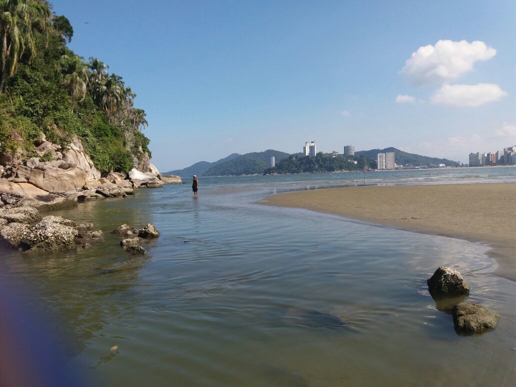 Savelly_Imagem_019.gif