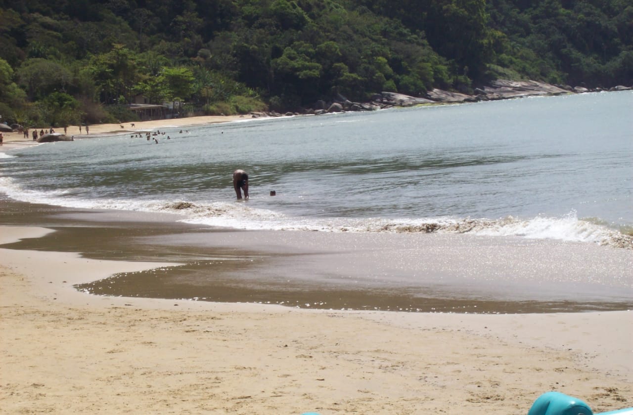 Savelly_Imagem_020.gif