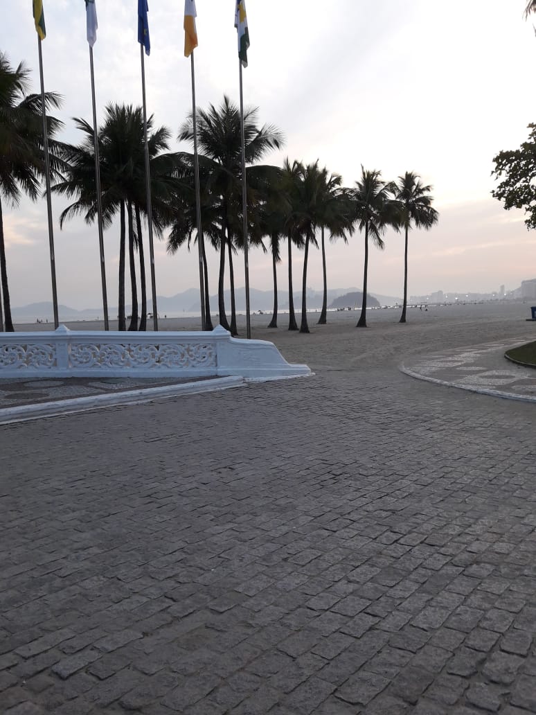 Savelly_Imagem_021.gif