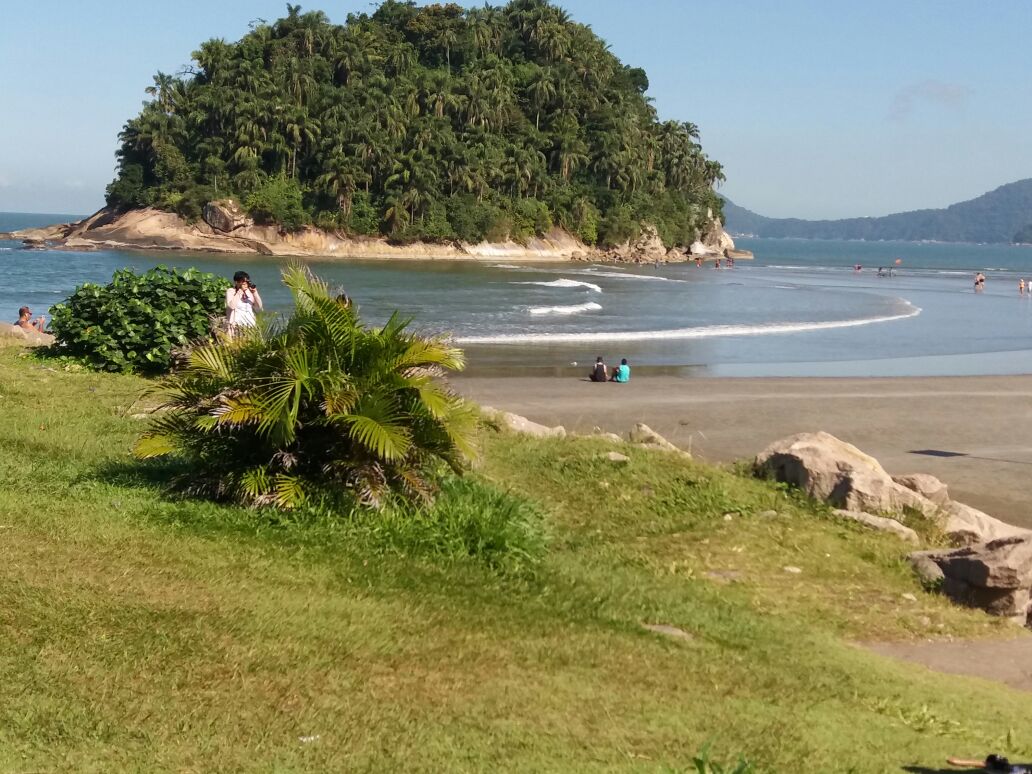 Savelly_Imagem_027.gif