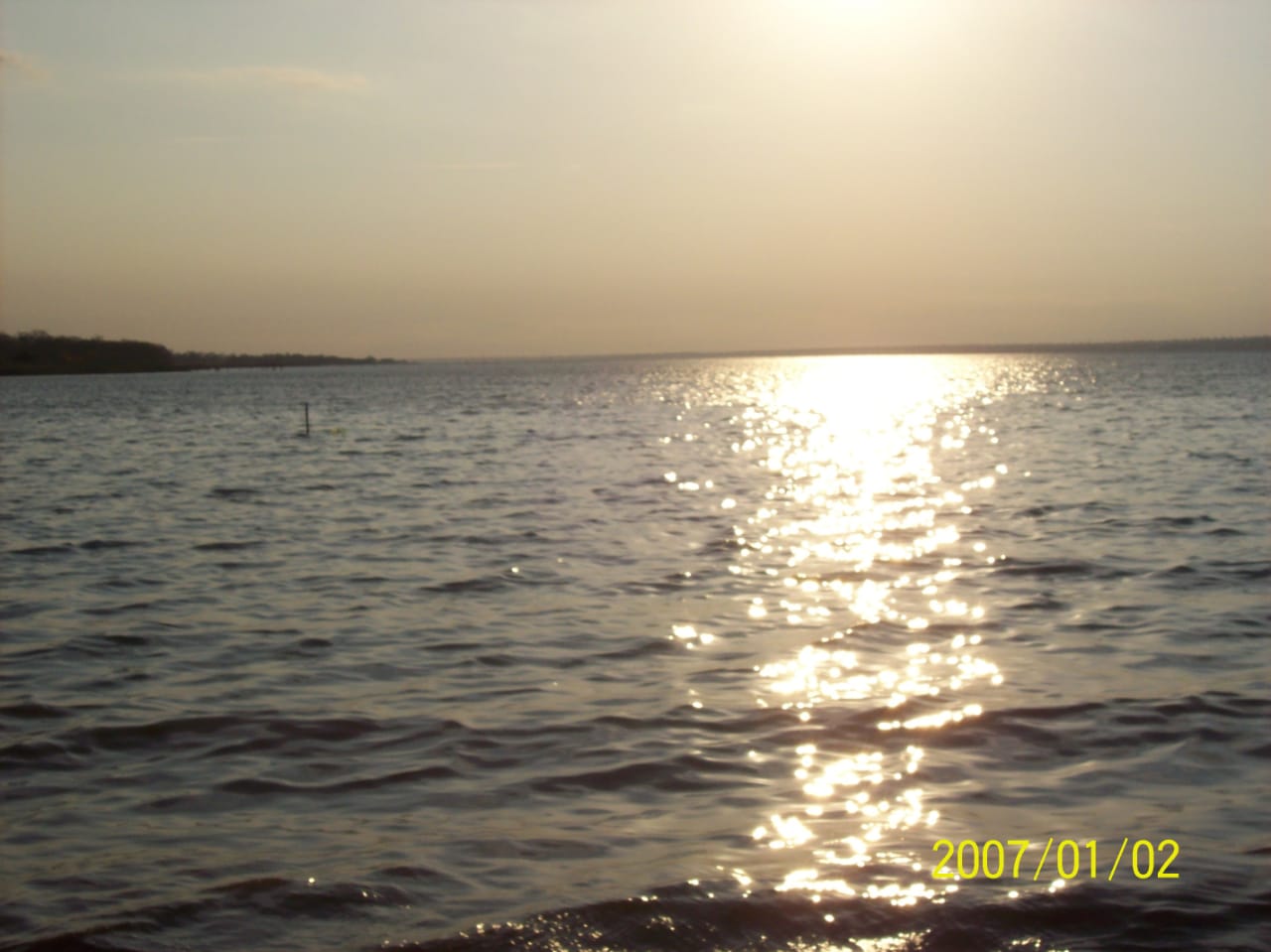 Savelly_Imagem_040.gif