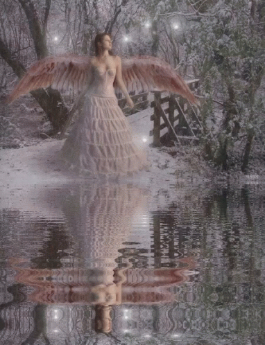Anjos_019.gif