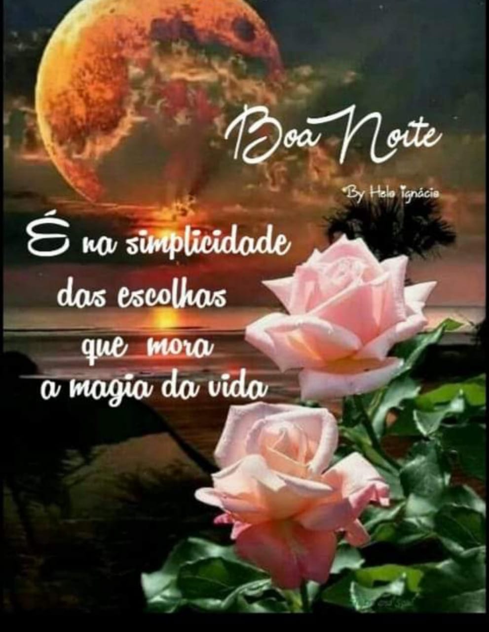 Boa_Noite_001.gif