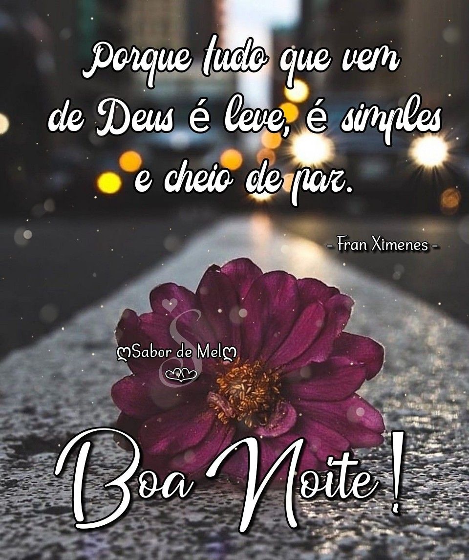 Boa_Noite_013.gif