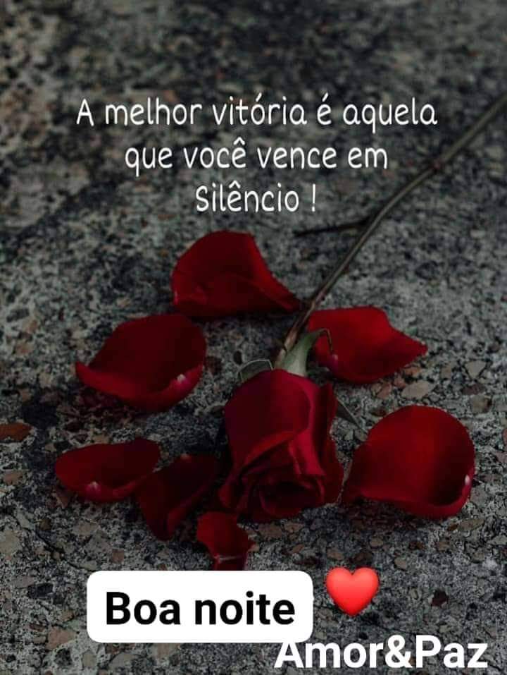 Boa_Noite_018.gif