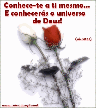 Frases_015.gif