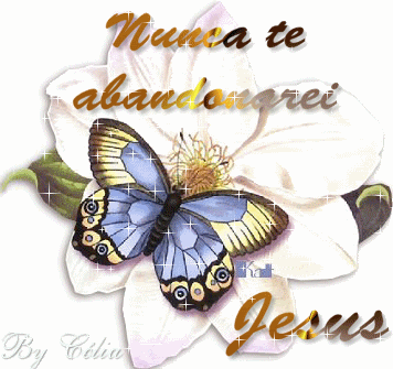 Frases_029.gif