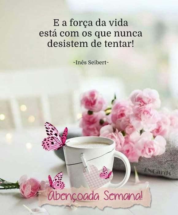 X1_Domingo_003.gif