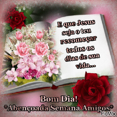 X1_Domingo_005.gif