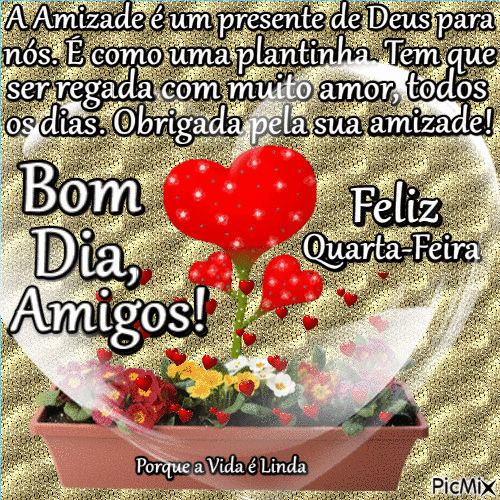 X4_Quarta_Feira_004.gif