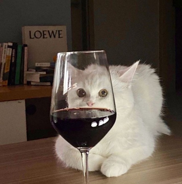 Ouvir_m_102.jpg