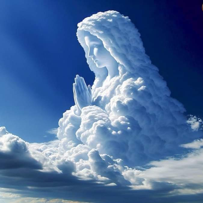 Imagem_0313.jpg