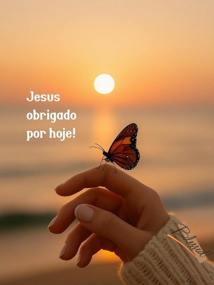 Imagem_0314.jpg