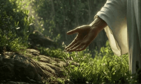 Imagem_0371.gif