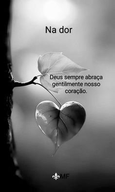Imagem_0390.jpg