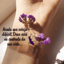 Imagem_0392.gif