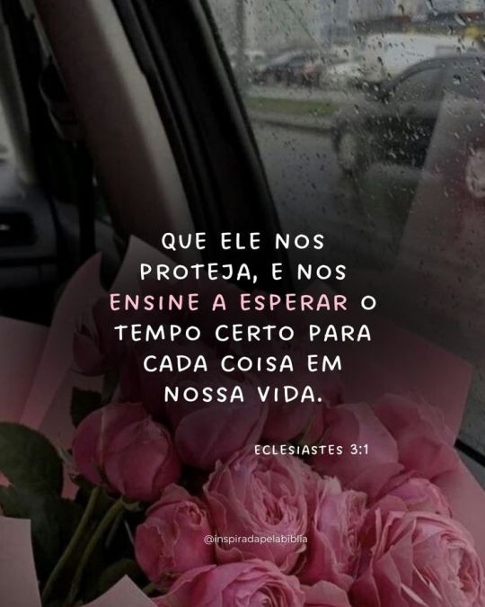 Imagem_0402.jpg