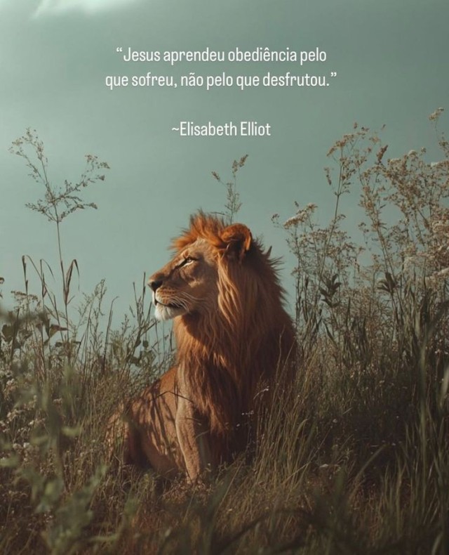 Imagem_0408.jpg