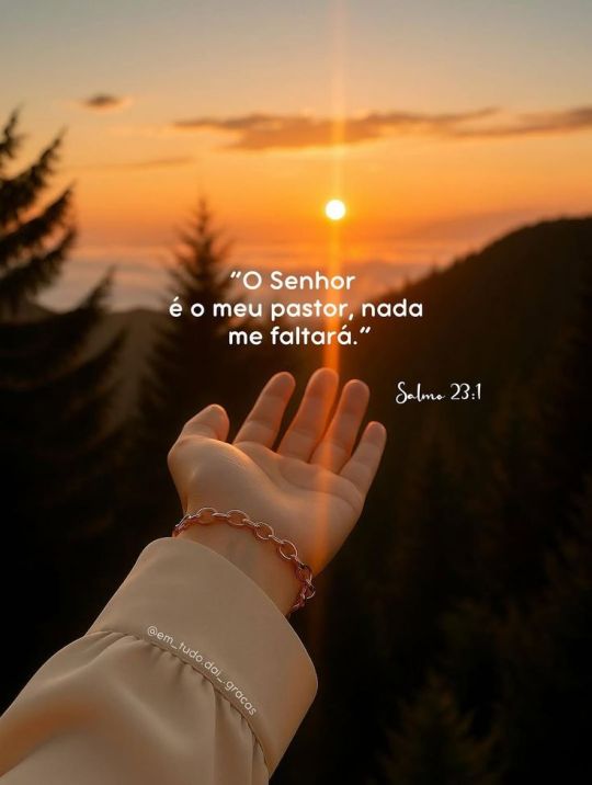 Imagem_0424.jpg