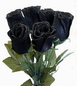 Rosas_003.gif