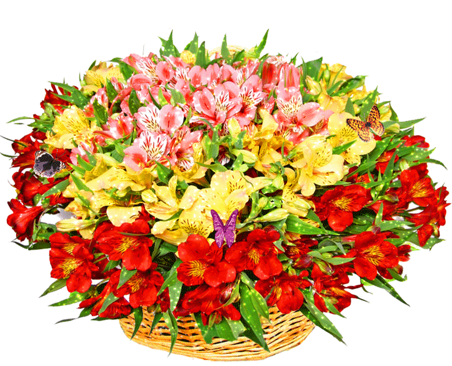 Rosas_024.gif