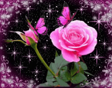 Rosas_030.gif