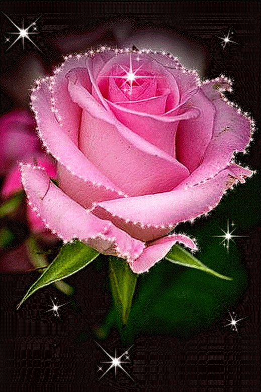 Rosas_032.gif
