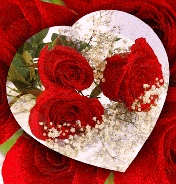 Rosas_035.gif