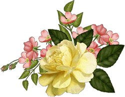 Rosas_036.gif