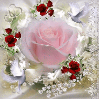 Rosas_039.gif