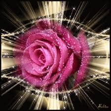 Rosas_040.gif