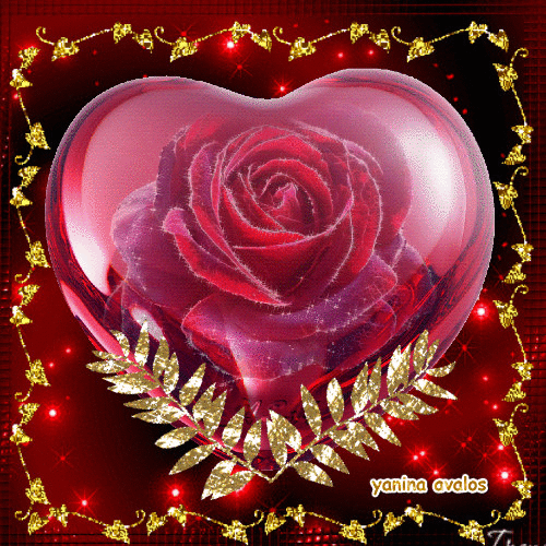 Rosas_042.gif