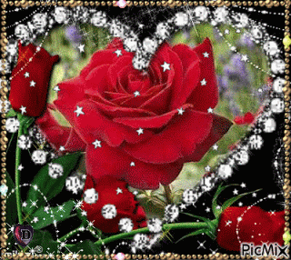 Rosas_043.gif