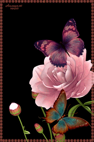 Rosas_050.gif