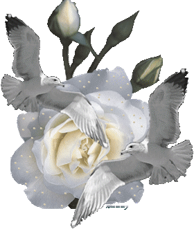 Rosas_059.gif