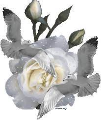 Rosas_061.gif