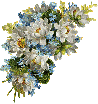 Rosas_062.gif
