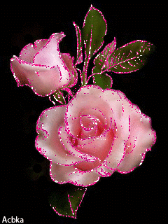 Rosas_063.gif