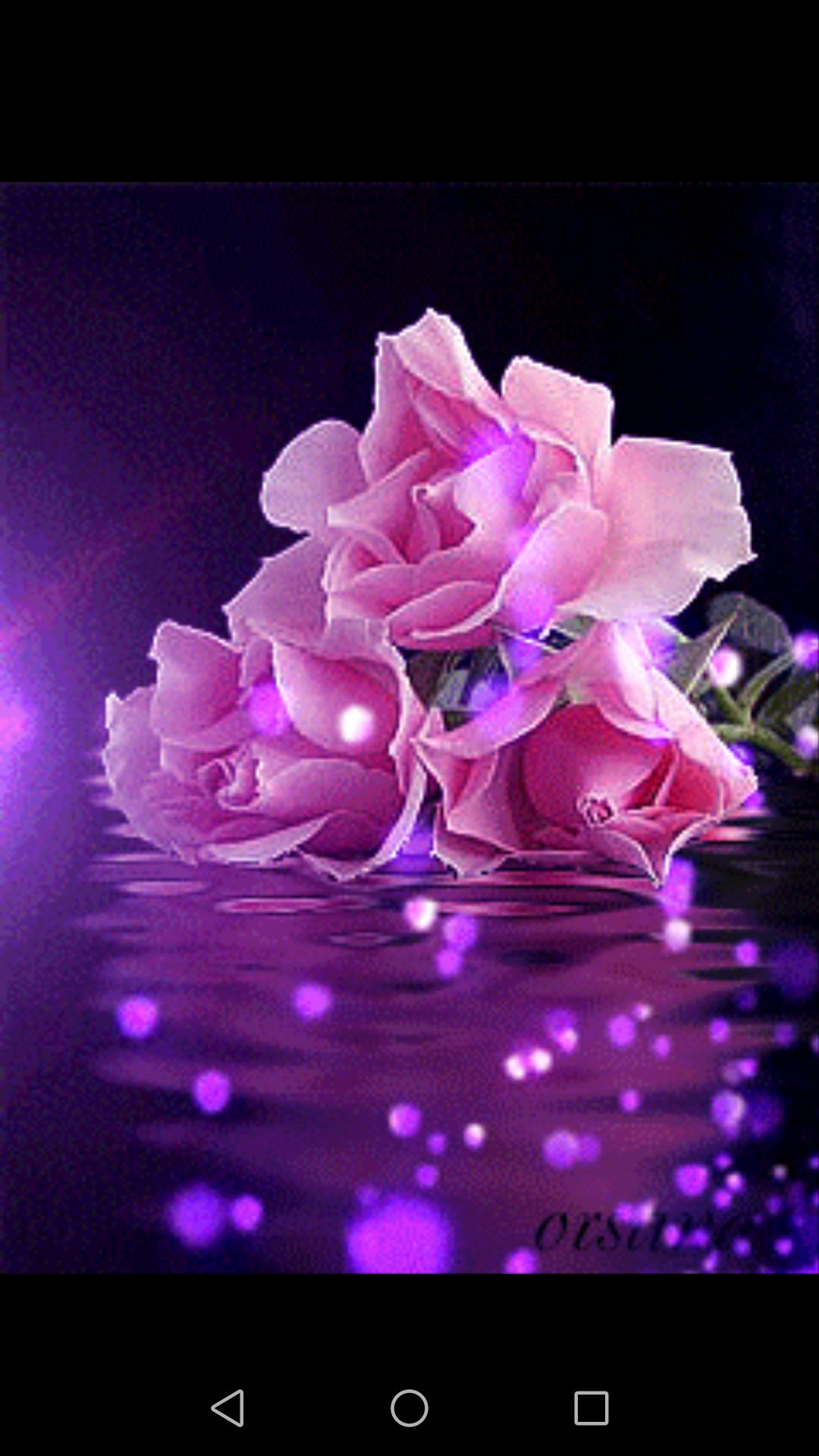 Rosas_077.gif