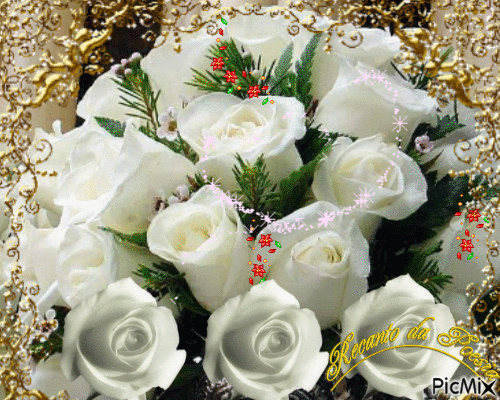 Rosas_084.gif