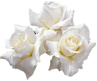 Rosas_087.gif
