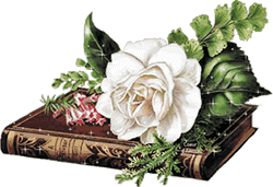 Rosas_091.gif