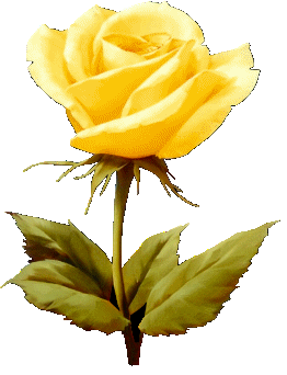 Rosas_092.gif